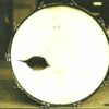 Congratulations I'm Sorry by Gin Blossoms (1996) Audio CD [Audio CD] - Image 7