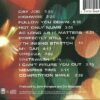 Congratulations I'm Sorry by Gin Blossoms (1996) Audio CD [Audio CD] - Image 9