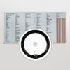 Someday Everything Will Be Fine [Audio CD] Spider Bags - Image 4
