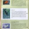 Wildlife Conservation Stamp Album 1973 [Unknown Binding] - Image 2