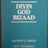 Diyin God Bizaad: New Testament : Modern Navajo and Contemporary English Version [Paperback]