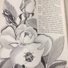 Little garden people and what they do [Hardcover] Sharp, Ann Pearsall - Image 3