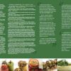 Gluten Free Mediterranean Gourmet Cuisine: Invaluable Recommendations for a Healthy Immune System Sabanci, Aslihan Koruyan - Image 9