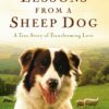 Lessons from a Sheep Dog: A True Story of Transforming Love [Hardcover] Keller, Phillip