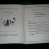 Survival into the 21st Century: Planetary Healers Manual Viktoras Kulvinskas; Jean White and Dick Gregory - Image 4