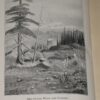 Mountain Memories (Poems of the Rocky Mountains) - Signed Copy - F.M.Harrow Illustrations [Hardcover] James Whilt - Image 5